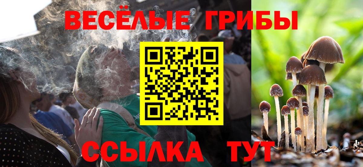 Галлюциногенные грибы мухоморы Назарово