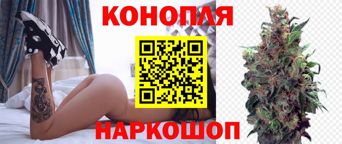 Марихуана сатива Назарово